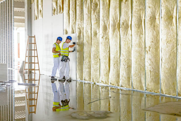 Best Insulation Maintenance and Repair in Upper Sandusky, OH